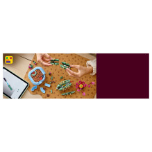 LEGO Botanicals Žydintis kaktusas 11509