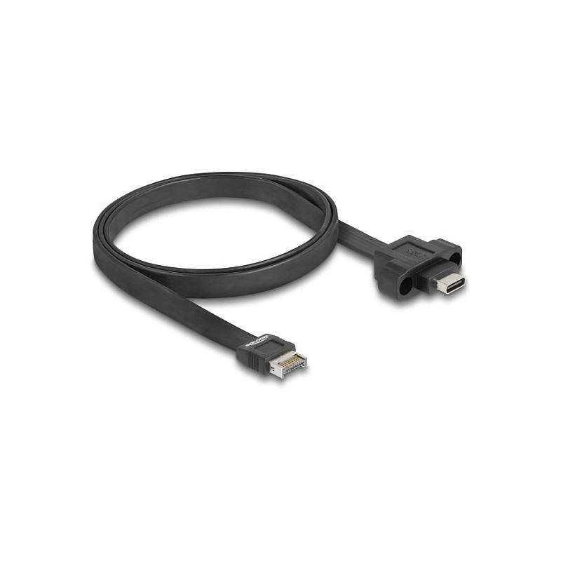 DeLOCK 85760 vidinis USB laidas