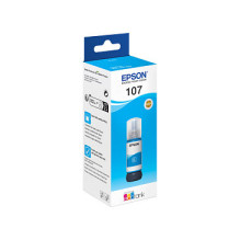 Epson 107