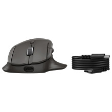 HP Ultra-Fast Scroll Wireless B Mouse 785M Rechargable HP Ultra-Fast Scroll Wireless B Mouse 785M Rechargable