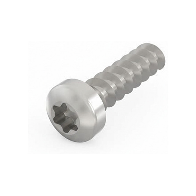 SCHROFF Pan Head Screw with Torx - LIKOSCHR-TORX 2.5 x 9.3 100pcs