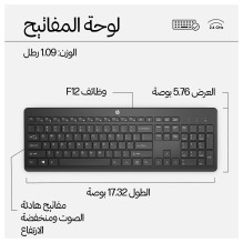 HP 230 Wireless Mouse and Combo keyboard