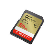 SanDisk Extreme GO
