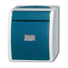 Busch-Jaeger 2601 / 6 WGL-53