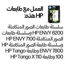 HP 303 2-pack Juodos / trispalvės originalios rašalo kasetės rašalo kasetė