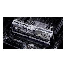 G.Skill Trident Z5 Royal F5-8000J4048F24GX2-TR5S atminties modulis