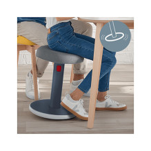 Leitz Ergo Cosy Active Leitz Ergo Cosy Active