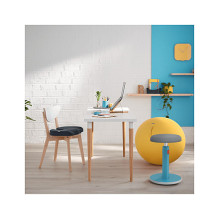 Leitz Ergo Cosy Active Leitz Ergo Cosy Active