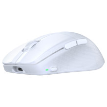 Turtle Beach Pure Oro pelė
