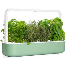 Kambarinis sodas - Click &amp; Grow Smart Garden 9, žalias