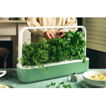 Kambarinis sodas - Click &amp; Grow Smart Garden 9, žalias