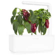Augalų Sėklų Kapsulės - Click &amp; Grow Raudonosios Saldžiosios Paprikos, 3 Vnt.