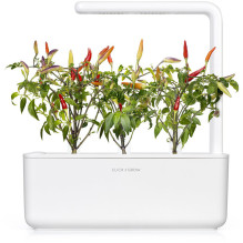Augalų Sėklų Kapsulės - Click & Grow Red Hot Chili Pepper 3 Vnt. Augalų Sėklų Kapsulės - Click & Grow Red Hot Chili Pepper 3 Vnt.