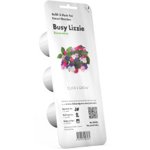Augalo Kapsulė - Click &amp; Grow Busy Lizzie 3 Vnt.