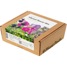 Augalų Kapsulė - Click &amp; Grow 9 Kapsulių Ryškus Gėlių Mišinys