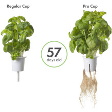 Augalų Auginimo Indelis - Click & Grow Pro Augalų Indeliai 9 Vnt. Augalų Auginimo Indelis - Click & Grow Pro Augalų Indeliai 9 Vnt.