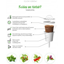 Išmaniųjų sodų augalų papildymas - Click &amp; Grow White Snapdragon 3 vnt. papildymas