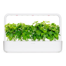 Augalų Kapsulės - Click & Grow Cinnamon Basil 3 Vnt. Augalų Kapsulės - Click & Grow Cinnamon Basil 3 Vnt.