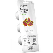 Išmaniojo Sodo Augalų Kasetė - Click &amp; Grow Painted Nettle 3 Vnt.
