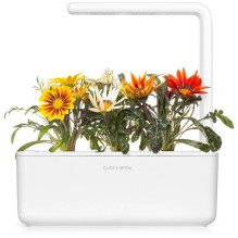 Išmaniųjų sodų augalų papildymas - Click &amp; Grow Gazania 3 vnt. papildymas