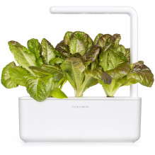 Kambarinių Sodinukų Papildymas - Click &amp; Grow Red Romaine Lettuce Papildymas, 3 Vnt.