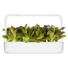 Kambarinių Sodinukų Papildymas - Click &amp; Grow Red Romaine Lettuce Papildymas, 3 Vnt.