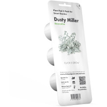 Augalų Sėklų Kapsulės - Click &amp; Grow Dusty Miller Smart Refill 3 vnt.