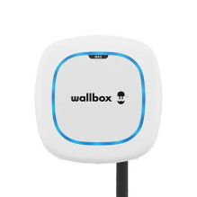 Wallbox Pulsar Max sienas...