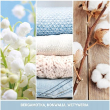 Automobilio Oro Gaiviklis - YANKEE Clean Cotton 1 Vnt. Automobilio Oro Gaiviklis - YANKEE Clean Cotton 1 Vnt.