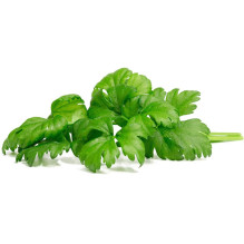 Click &amp; Grow lapu...