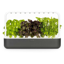 Click &amp; Grow Smart...