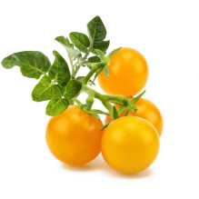 Click and Grow Smart Garden...