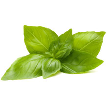 Click &amp; Grow citronu...