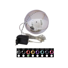 EUROPALMS LED Snowball...