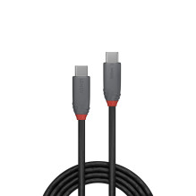 USB Laidas - Lindy USB4...