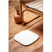 Adler AD 8176 personal scale Square White Electronic personal scale