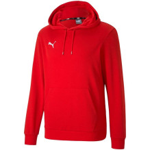 PUMA teamGOAL 23 vīriešu...
