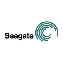 Standusis diskas - Seagate SkyHawk AI ST32000VE000 32 TB Standusis diskas - Seagate SkyHawk AI ST32000VE000 32 TB