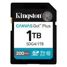 Kingston Technology Canvas...