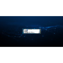 Kingston Technology 960G DC2000B PCIe 4.0 M.2 2280 Enterprise SSD Kingston Technology 960G DC2000B PCIe 4.0 M.2 2280 Enterprise SSD