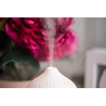 CAMRY CR 7970 Ultrasonic Aroma Diffuser 3-in-1, White