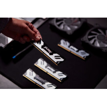 Kingston Technology FURY 48GB 6000MT / s DDR5 CL32 DIMM Renegade Silver XMP Kingston Technology FURY 48GB 6000MT / s DDR5 CL32 DIMM Renegade Silver XMP