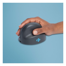 R-Go Tools RGOHEBAMRWL mouse