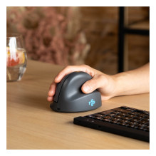 R-Go Tools RGOHEBAMRWL mouse