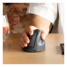 R-Go Tools RGOHEBAMRWL mouse