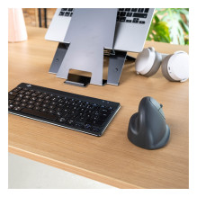 R-Go Tools RGOHEBAMRWL mouse