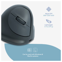 R-Go Tools RGOHEBAMRWL mouse
