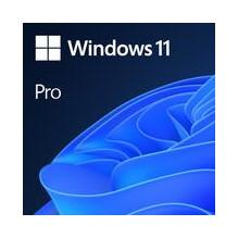 Programinė įranga, MICROSOFT, Win 11 Pro 64 bitų Eng Intl 1pk DSP OEI DVD, Win Pro, OEM, anglų, FQC-10528