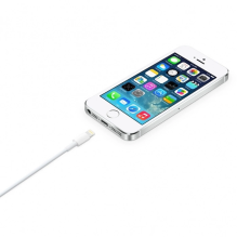 Apple cable USB-A - Lightning 0.5m white (ME291ZM / A)