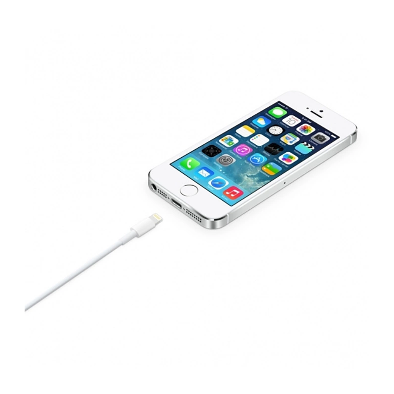 Apple cable USB-A - Lightning 0.5m white (ME291ZM / A)